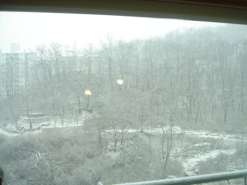 �ܺ����� - ��