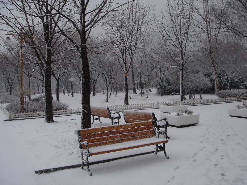 �������ü� - ���ǽü�(�ްԽǵ�)