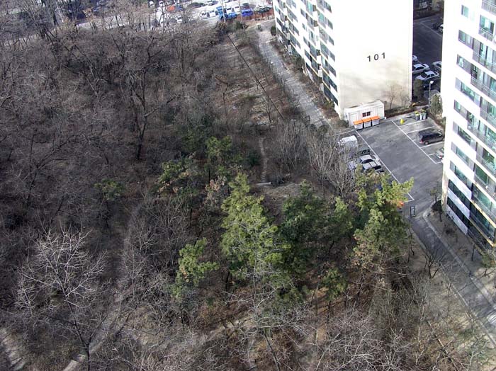 �������� - ������������