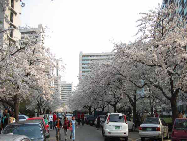 �������� - ������������