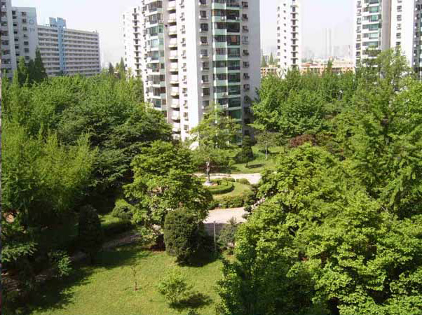 �������� - ������������