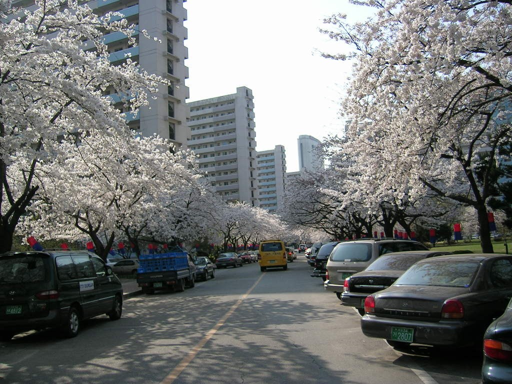 �������� - �����Ա�����