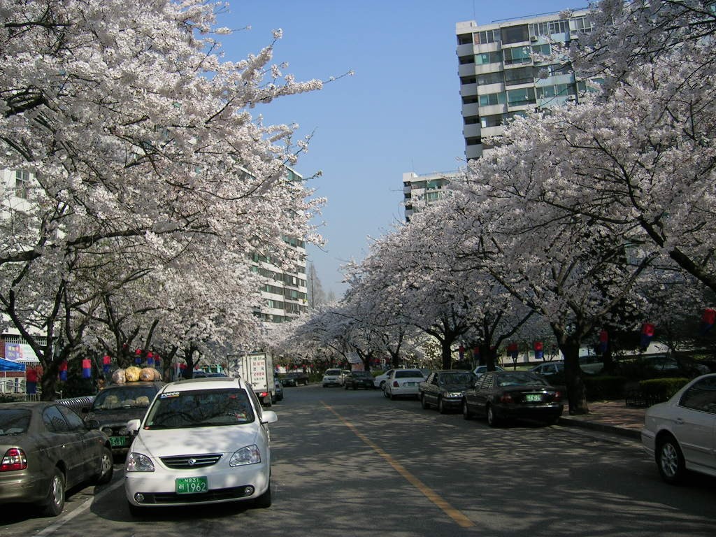 �������� - ������������