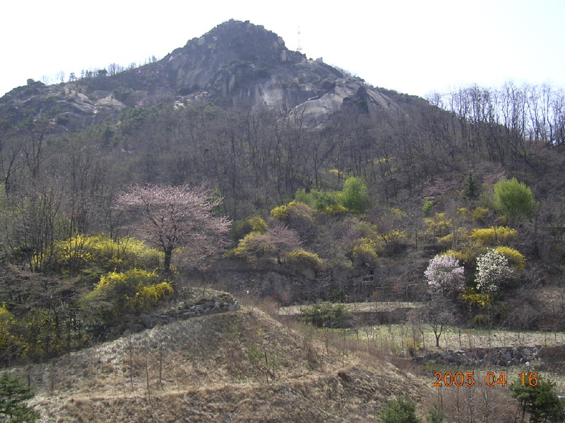 �ܺ����� - ��