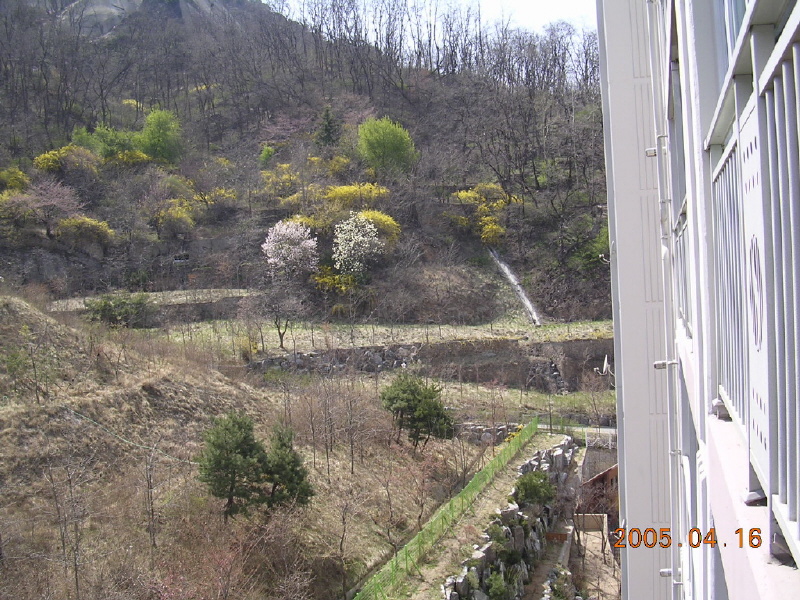 �ܺ����� - ��