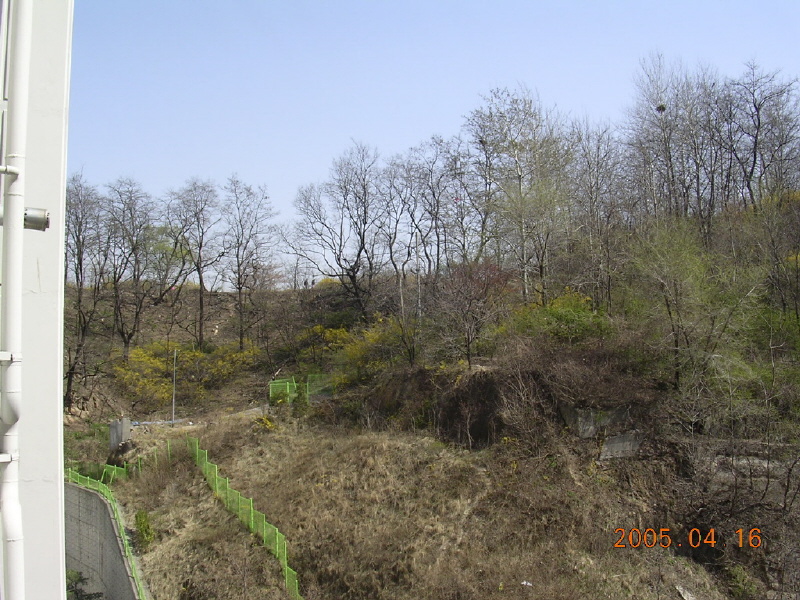 �ܺ����� - ��