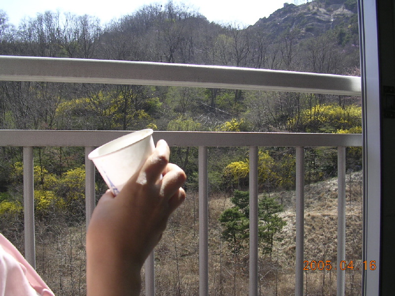 �ܺ����� - ��