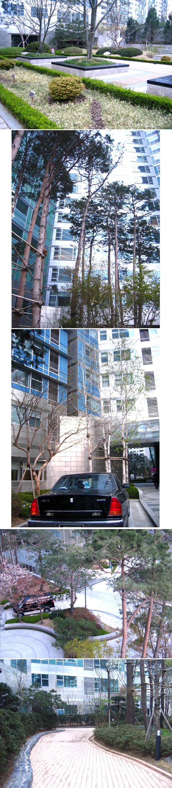 �������� - ������������