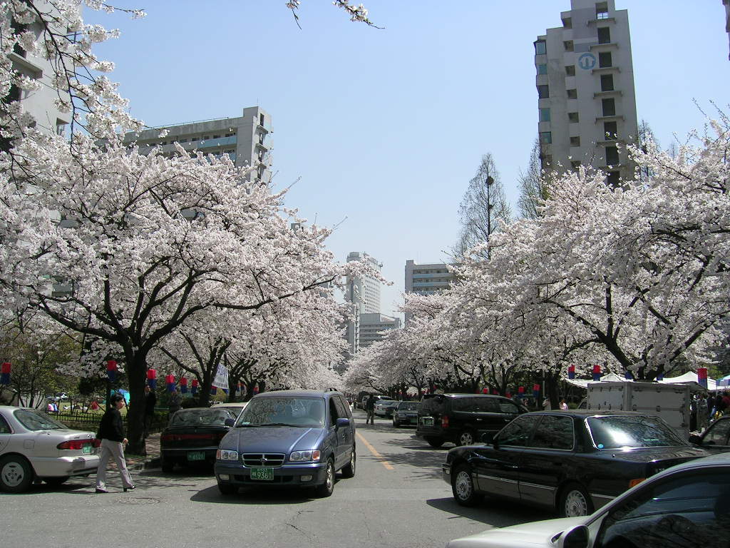 �������� - ������������