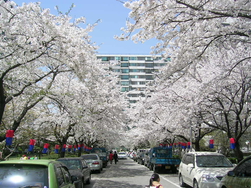 �������� - ������������