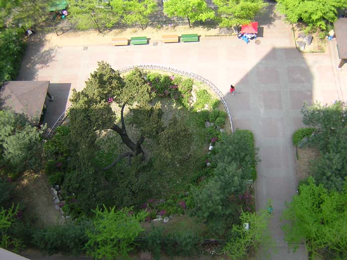 �������ü� - ��å��(����)