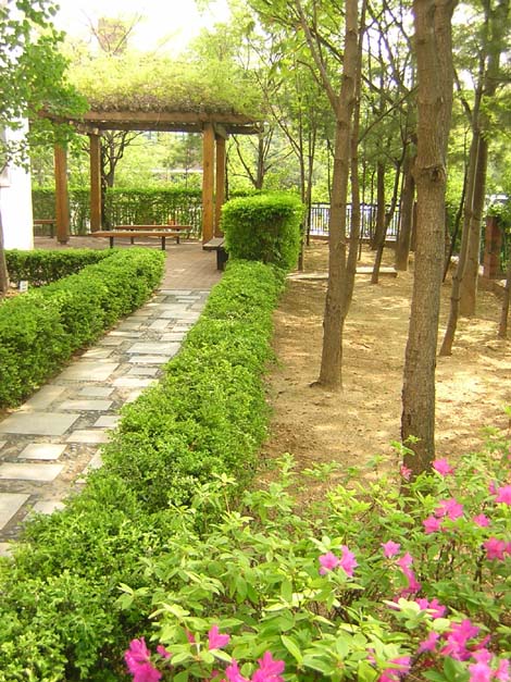 �������ü� - ��å��(����)