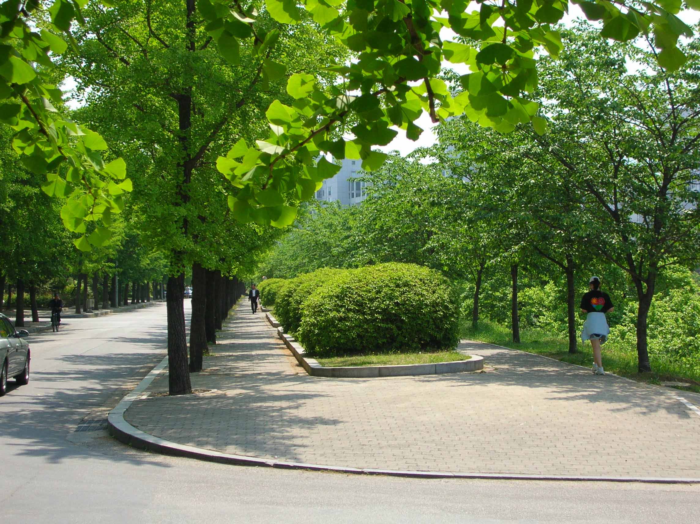 �������ü� - ����ü�