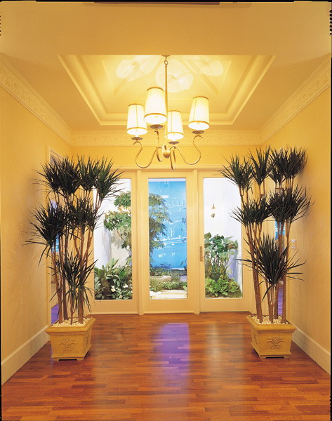 �ǳ����� - �Ž�