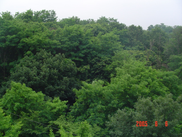 �ܺ����� - ��