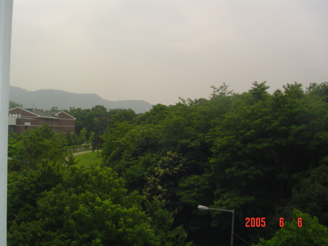 �ܺ����� - ��