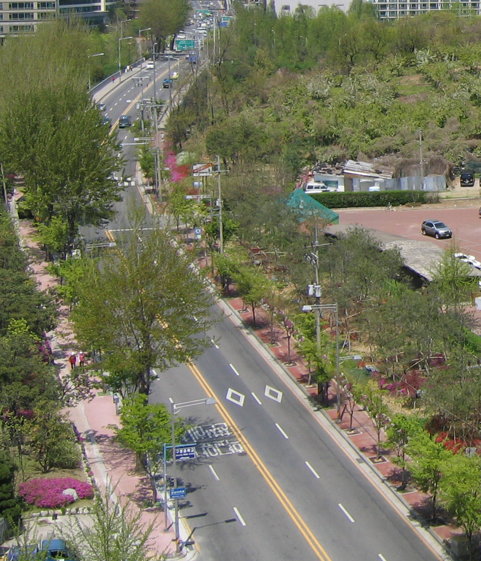 �ܺ����� - ��