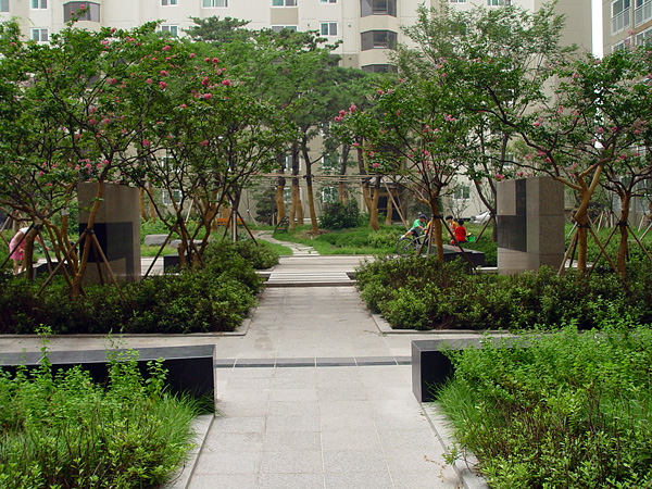 �������ü� - ��å��(����)