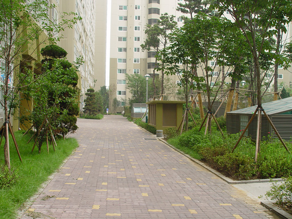 �������ü� - ��å��(����)