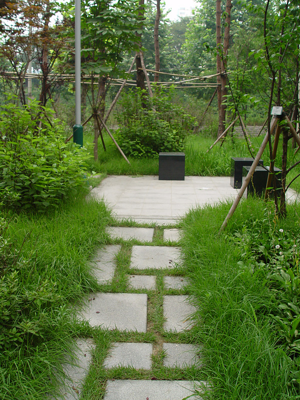 �������ü� - ��å��(����)