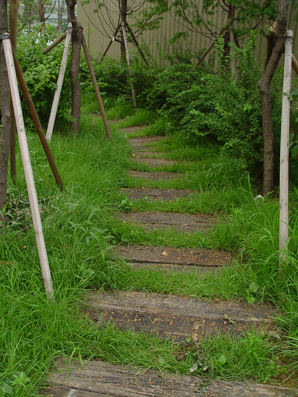 �������ü� - ��å��(����)