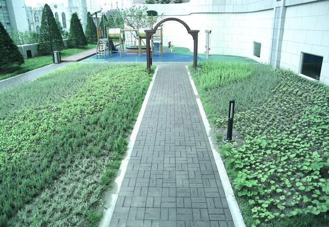 �������ü� - ��å��(����)