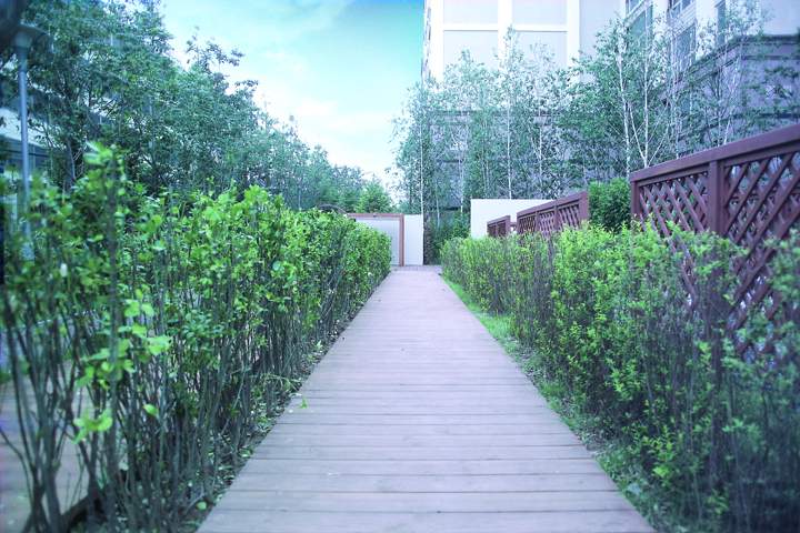 �������ü� - ��å��(����)