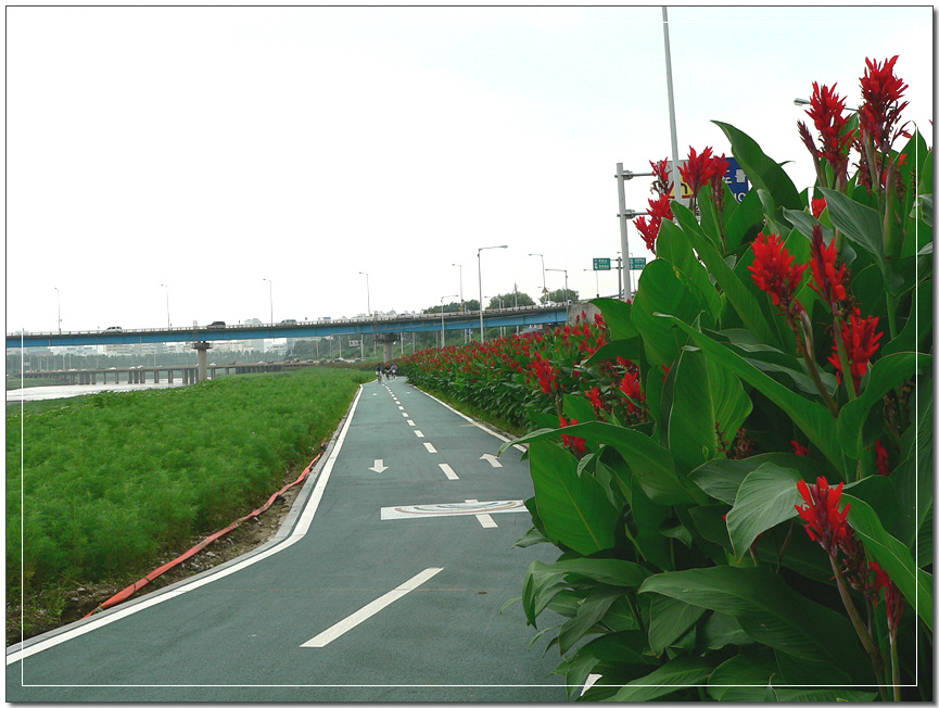 �����ֺ��ü� - �ֺ�����