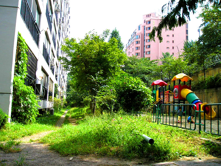 �������ü� - ������