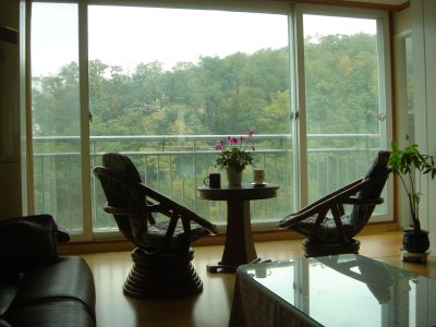 �ǳ����� - �Ž�