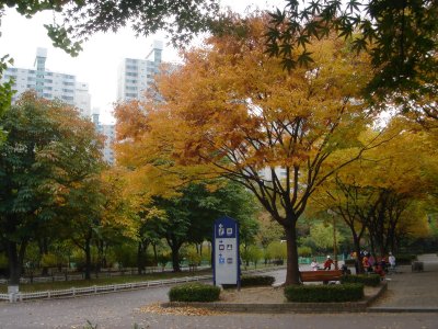 �����ֺ��ü� - �ް�/����