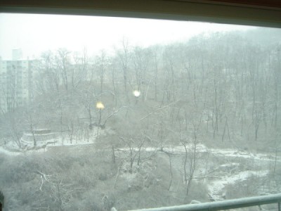 �ܺ����� - ��