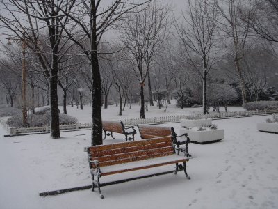 �����ֺ��ü� - �ް�/����