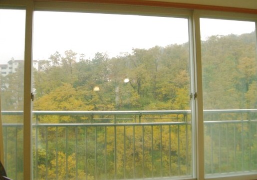 �ܺ����� - ��