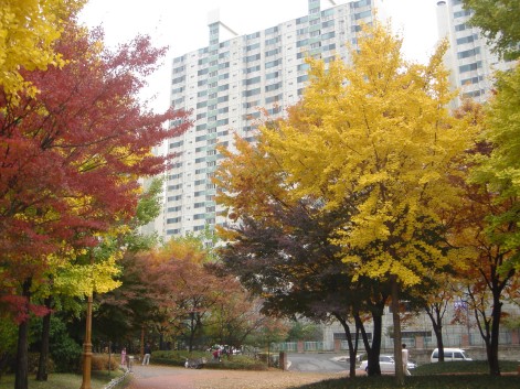 �������� - ��������