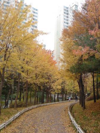 �������ü� - ��å��(����)