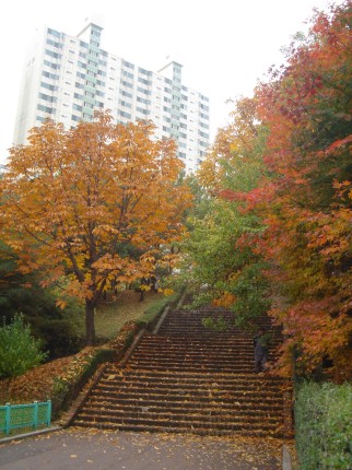 �������� - ��������