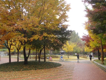 �������ü� - ��å��(����)