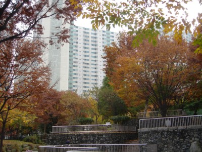 �������� - ��������