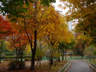 �������ü� - ��å��(����)