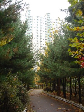 �������ü� - ��å��(����)