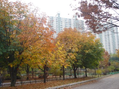 �������� - ��������