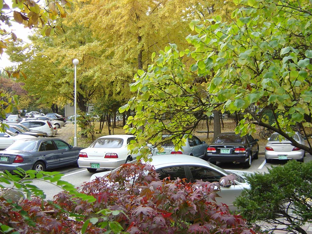 �������ü� - �����ü�