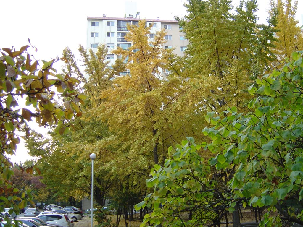 �������� - ������������