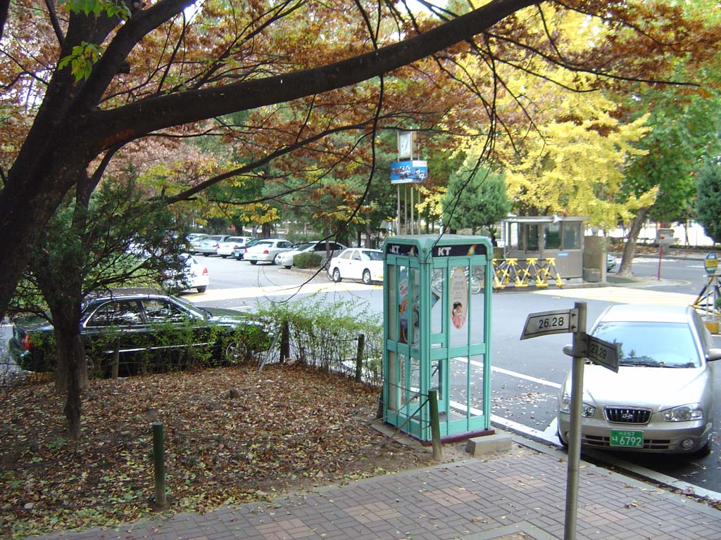 �������� - ������������