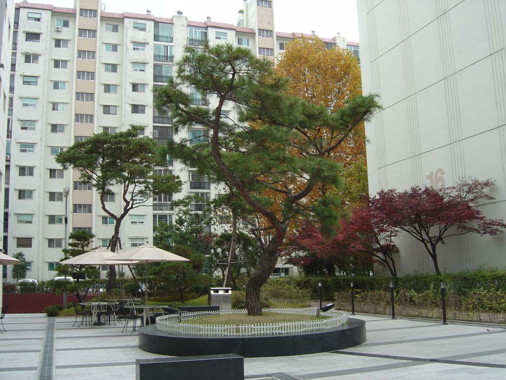 �������� - ������������