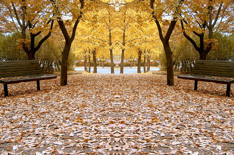 �������ü� - ��å��(����)