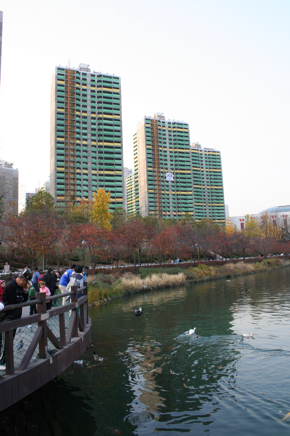 �������� - ��������