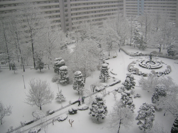 �������� - ������������