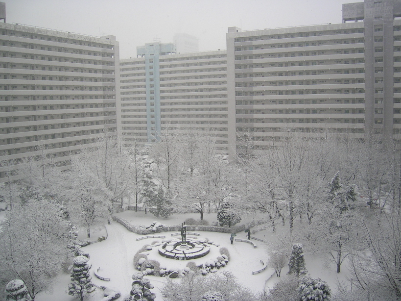 �������� - ������������